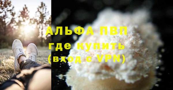 ГАЛЛЮЦИНОГЕННЫЕ ГРИБЫ Горняк
