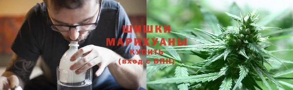 ГАЛЛЮЦИНОГЕННЫЕ ГРИБЫ Горняк