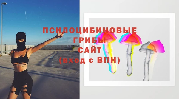 ГАЛЛЮЦИНОГЕННЫЕ ГРИБЫ Горняк
