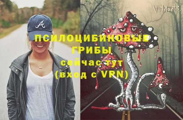 ГАЛЛЮЦИНОГЕННЫЕ ГРИБЫ Горняк
