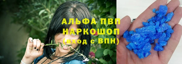 ГАЛЛЮЦИНОГЕННЫЕ ГРИБЫ Горняк