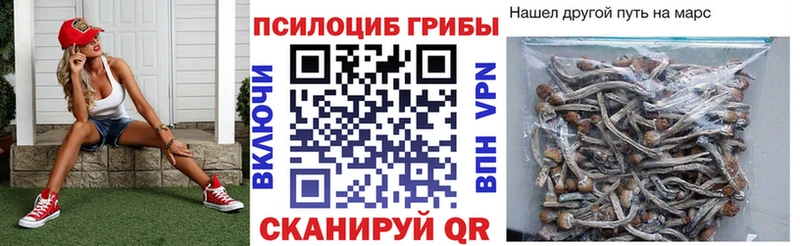 Галлюциногенные грибы Psilocybine cubensis  omg ссылка  Махачкала 